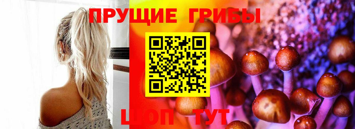 Псилоцибиновые грибы Cubensis  Псилоцибиновые грибы Psilocybe  Вход с VPN  Торжок 