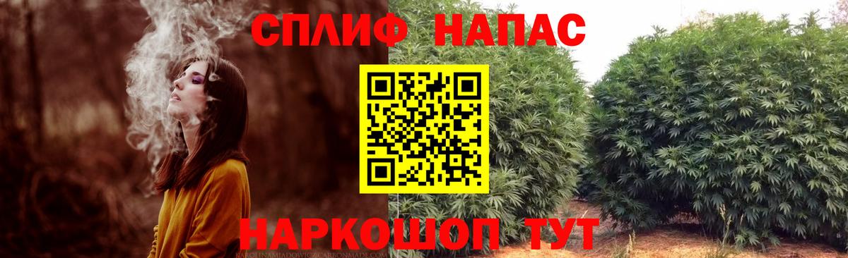 Канабис гибрид Торжок